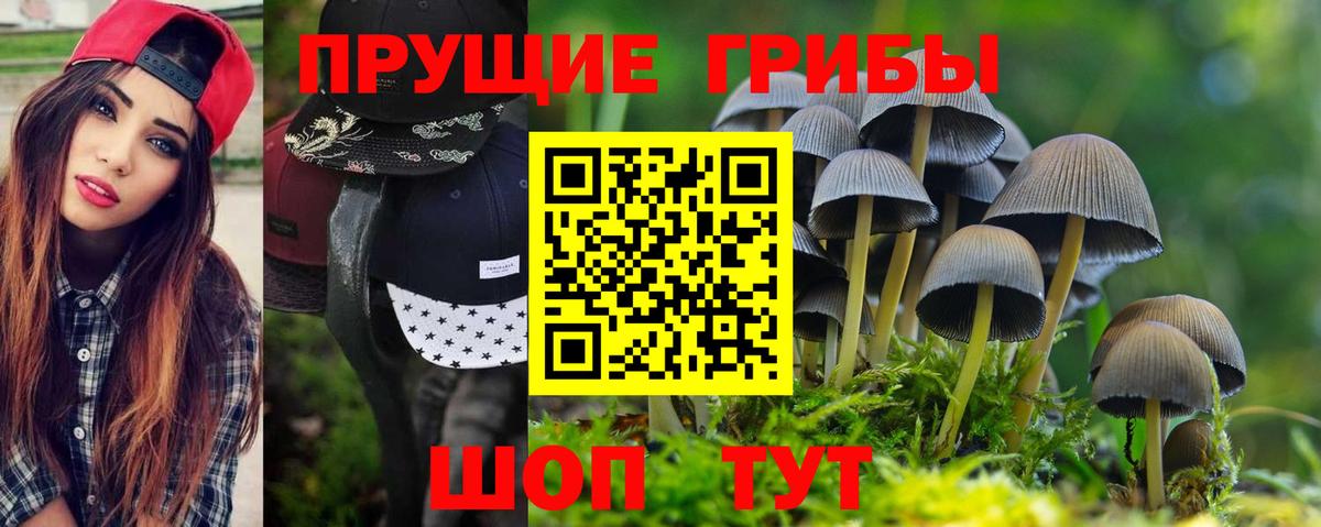 Псилоцибиновые грибы прущие грибы Малоярославец