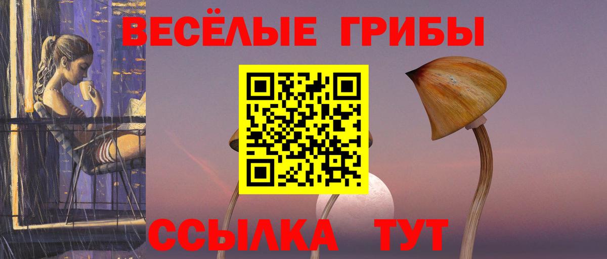 Малоярославец  Галлюциногенные грибы Psilocybine cubensis  Вход с VPN 